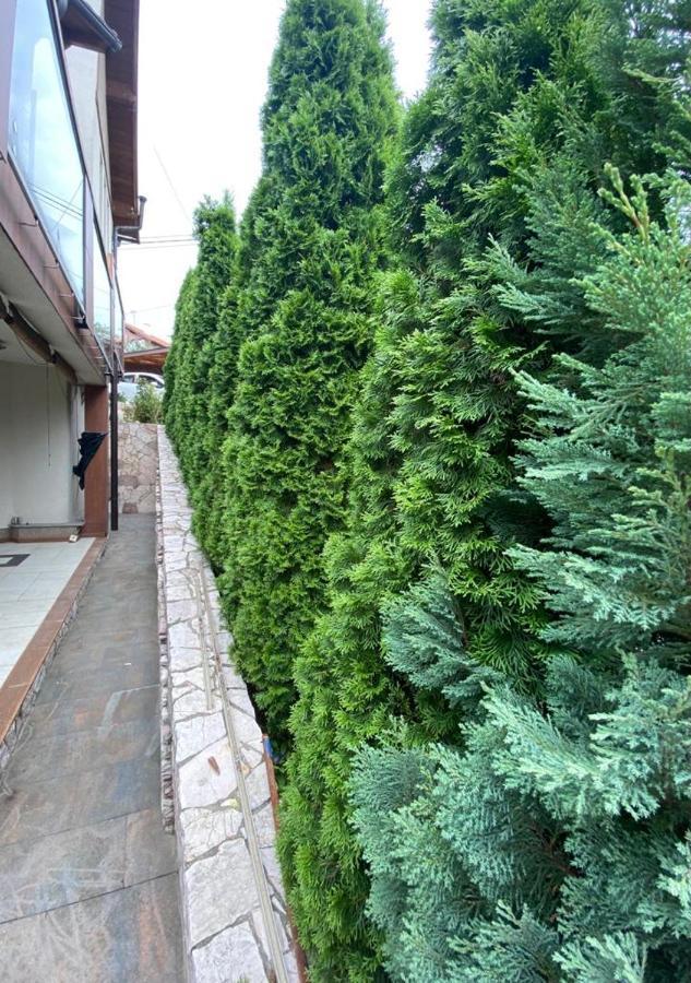 Alea Apartment
