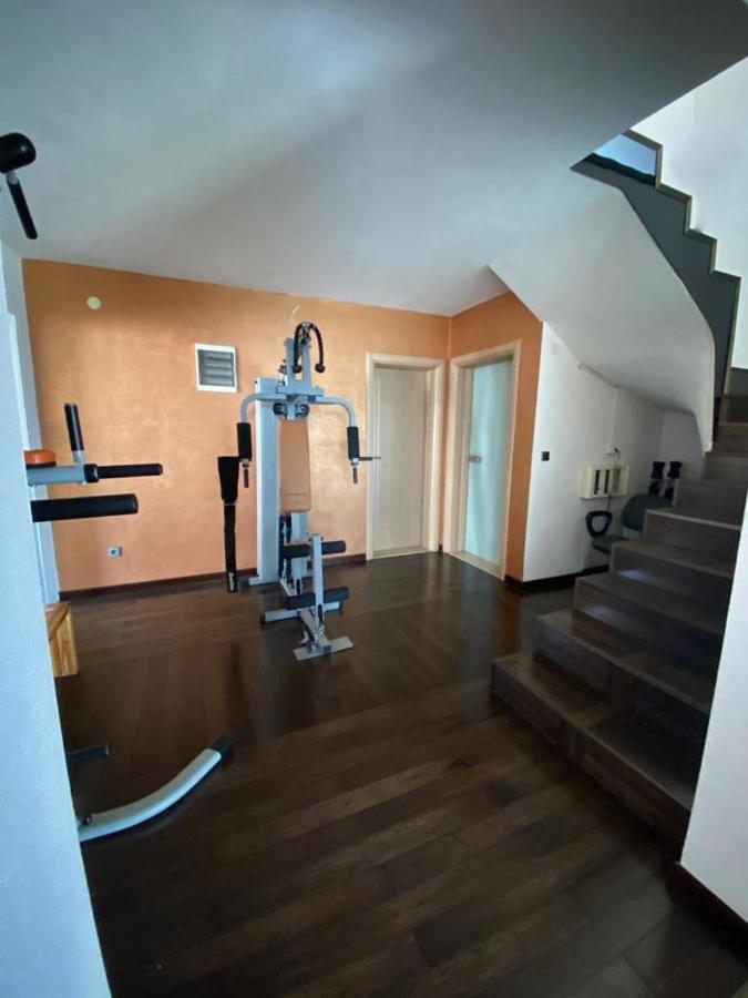 Alea Apartment *