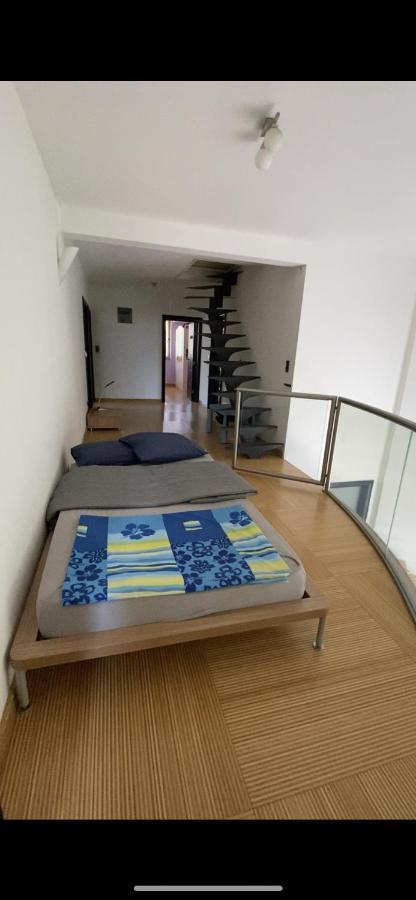 Alea Apartment *
